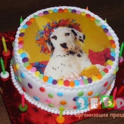 ���� � ����������� �11
